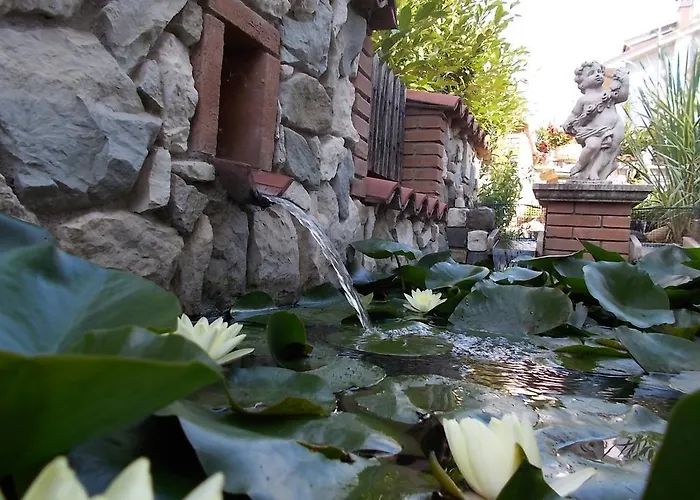 B&B Il Giardino Acquatico