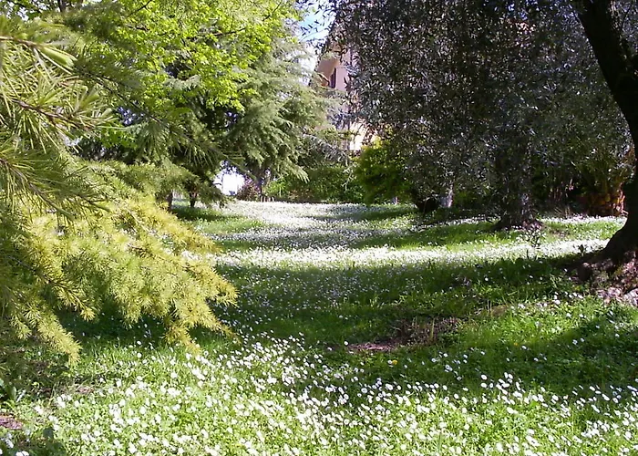La Vecchia Quercia