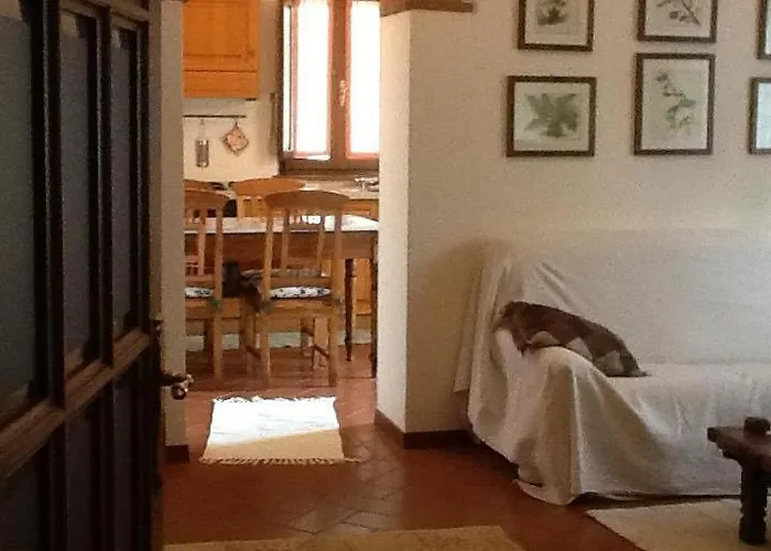 Camere e Appartamenti Baldini Romanita