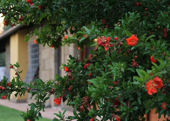 Al Vecchio Fontanile B&B