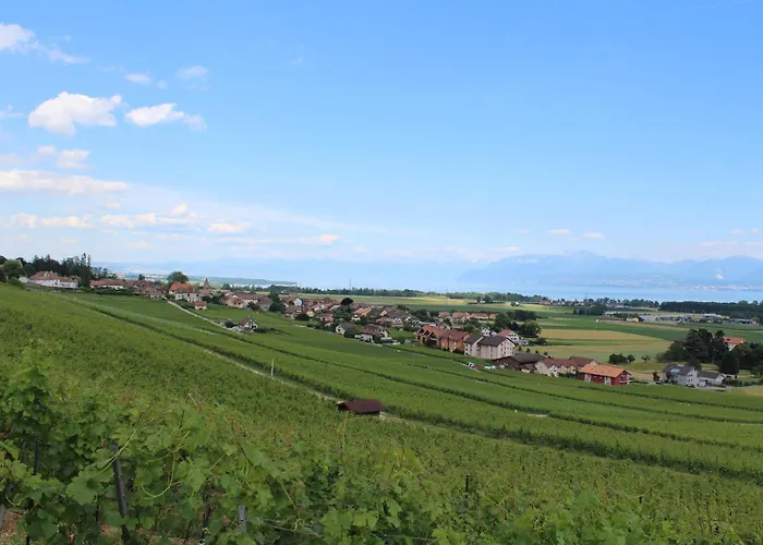 Au Coeur Du Vignoble Sur Bursins