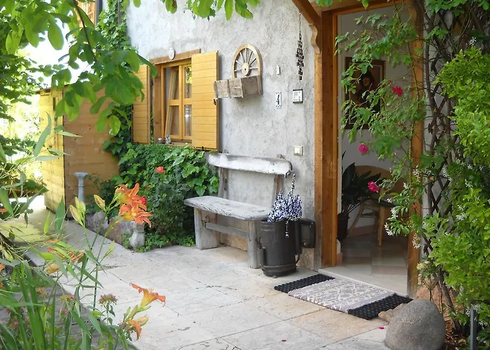 B&B Artemia