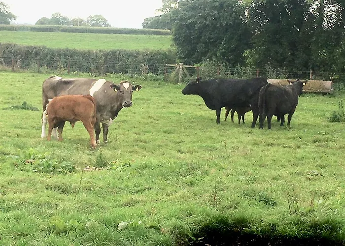 Norbin Farm