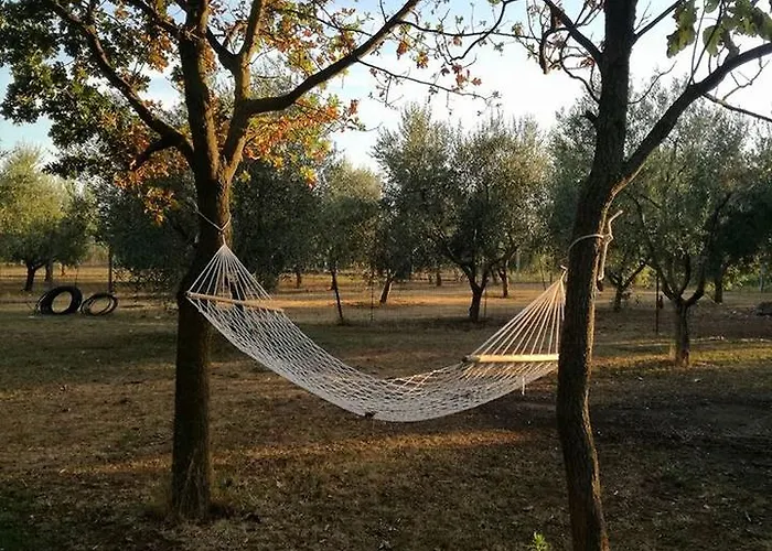 Axia B&B, 900mTerme dei Papi, 6min dalla città,PARK privato