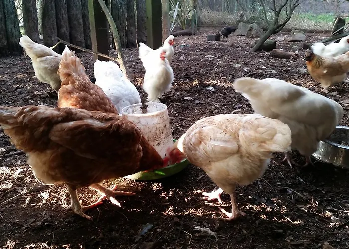 Woodbury Farm