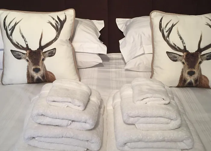 Ashbrook House B&B