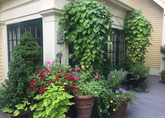Lowell Bed & Breakfasts 