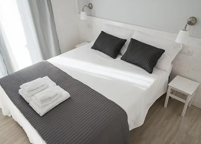 B&B Bucci 54