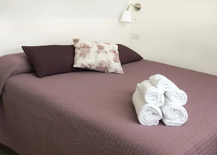 B&B Bucci 54