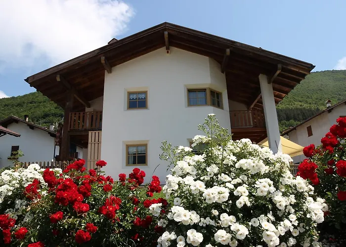 B&B Primavera