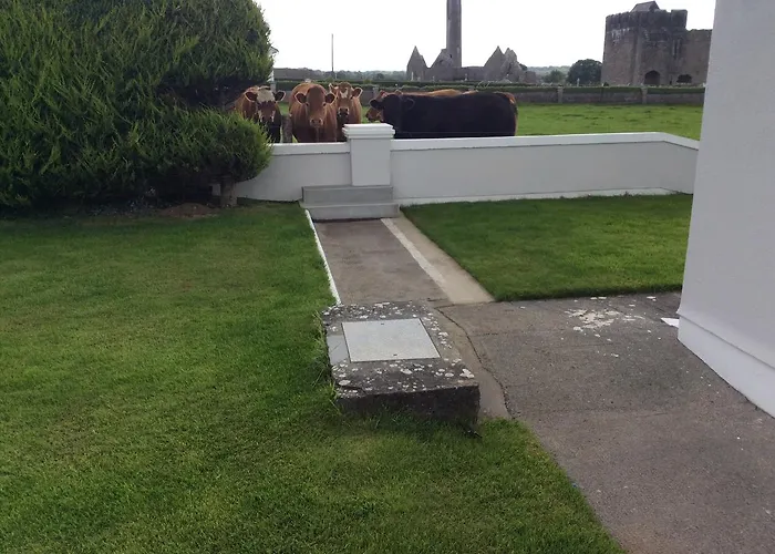 Naomh Colman B&B