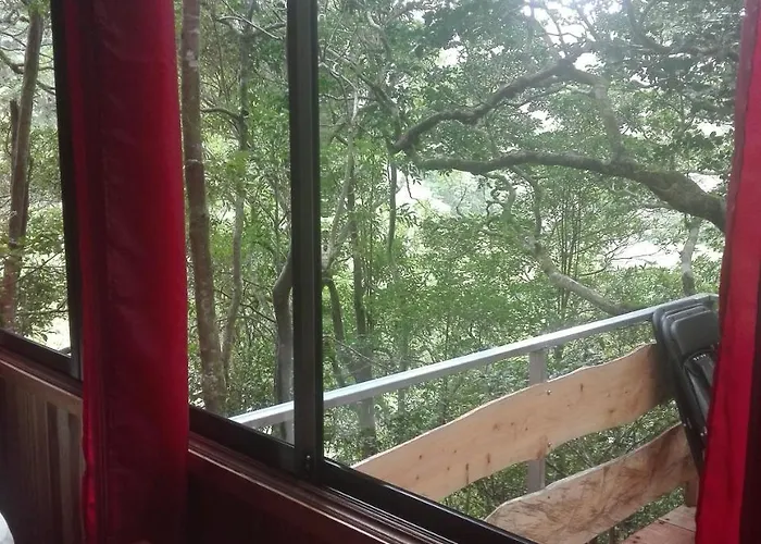 The Green Tree Lodge