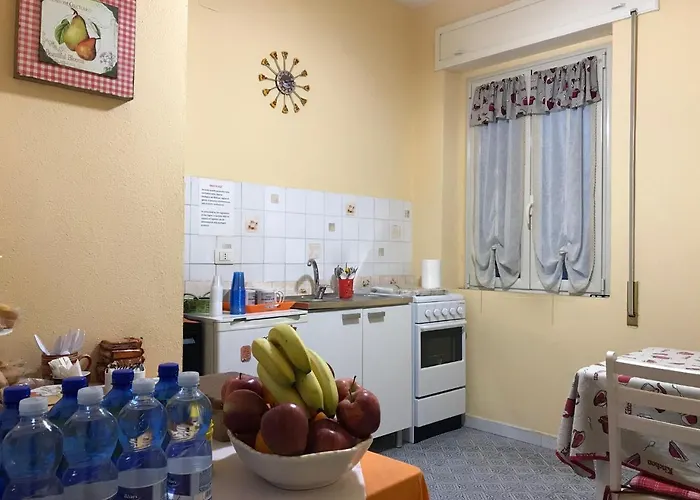 B&B Roge