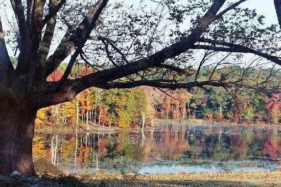 Waltham Bed & Breakfasts 