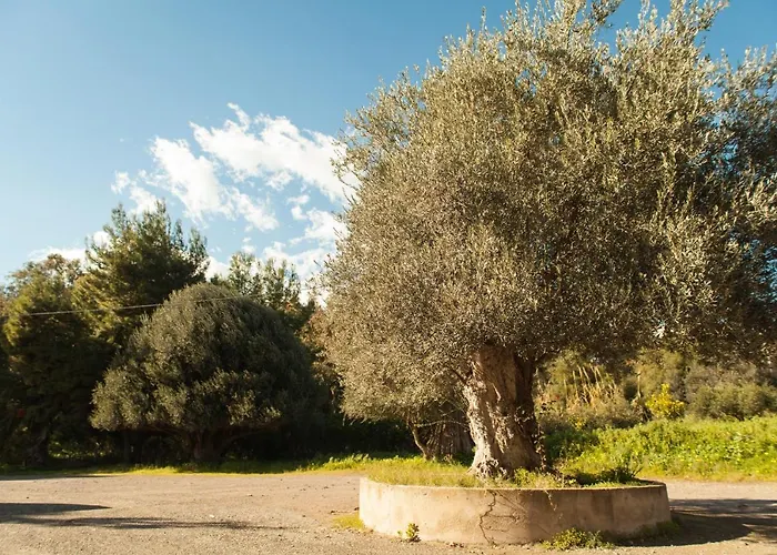 L'Albero