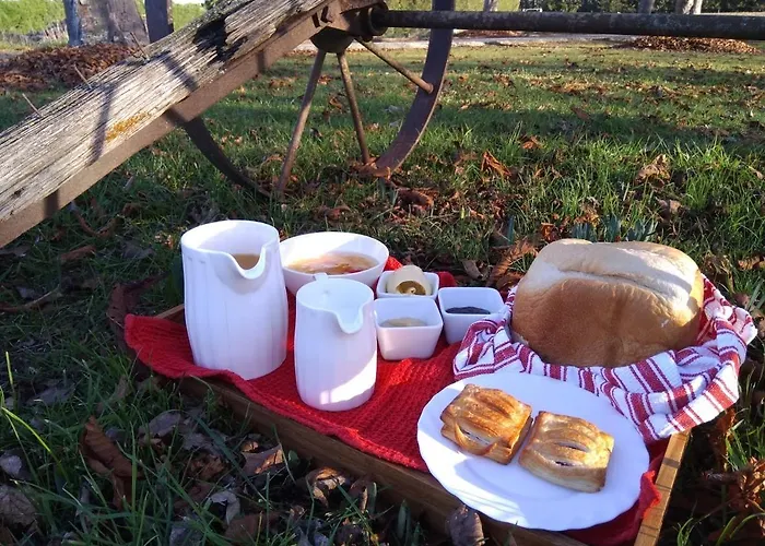 Lake Tekapo Bed & Breakfasts 
