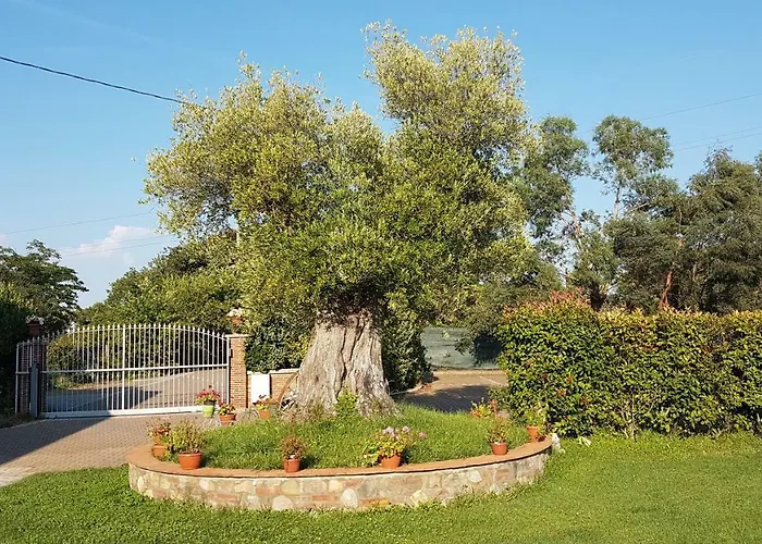 Casal Sant'Elena