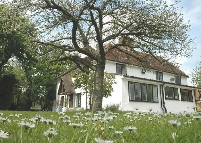 The White House