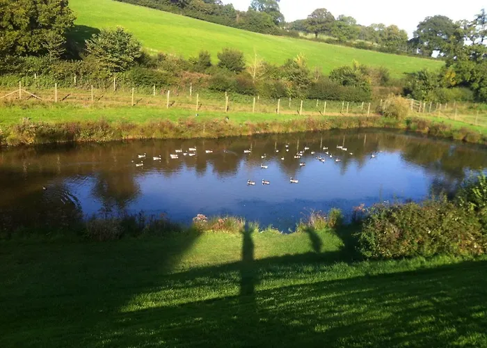 East Dunster Deer Farm B&B