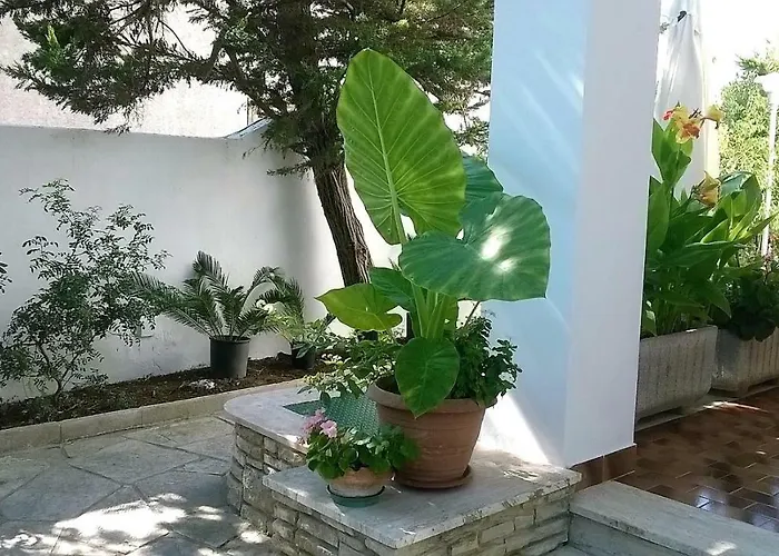 B&B Il Villino Torre Dell'Orso