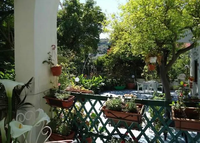 B&B Albatros