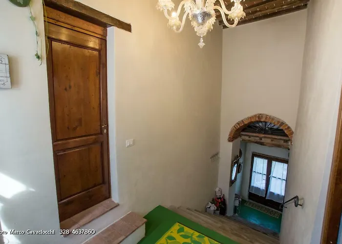 Il Bosso di Toscana