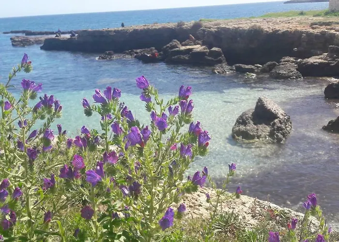 Suliscenti Dimora Siciliana B&B