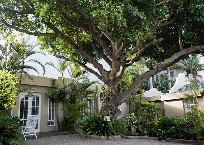 Conifer Beach House