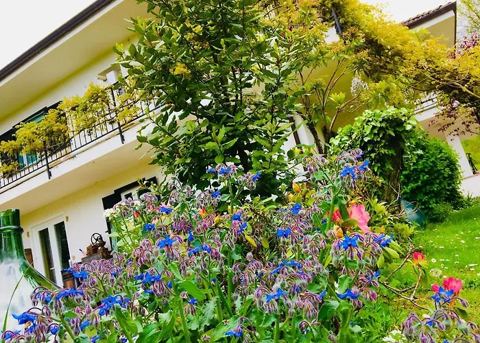 B&B La Libellula