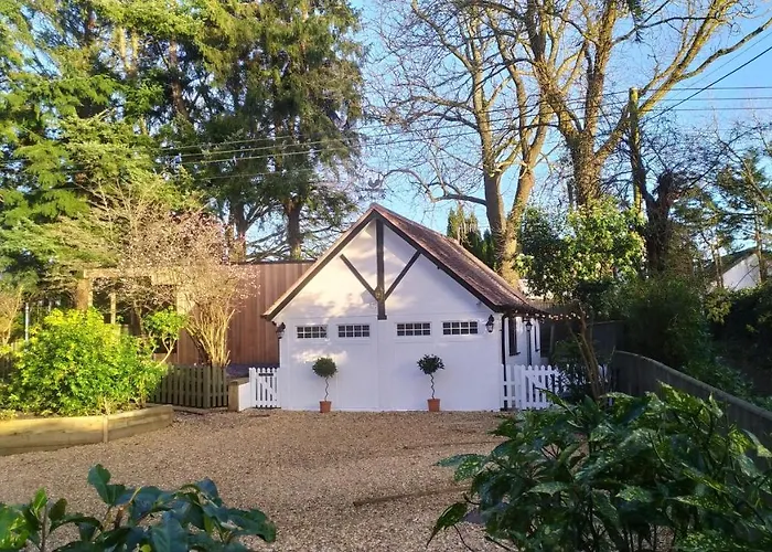 Thatched Eaves