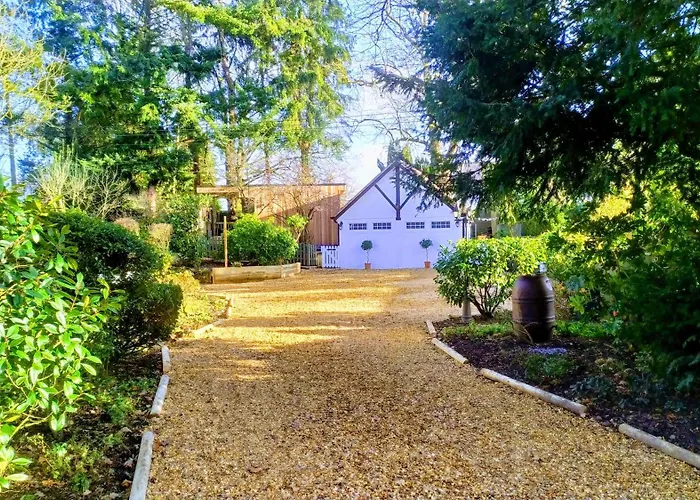 Thatched Eaves