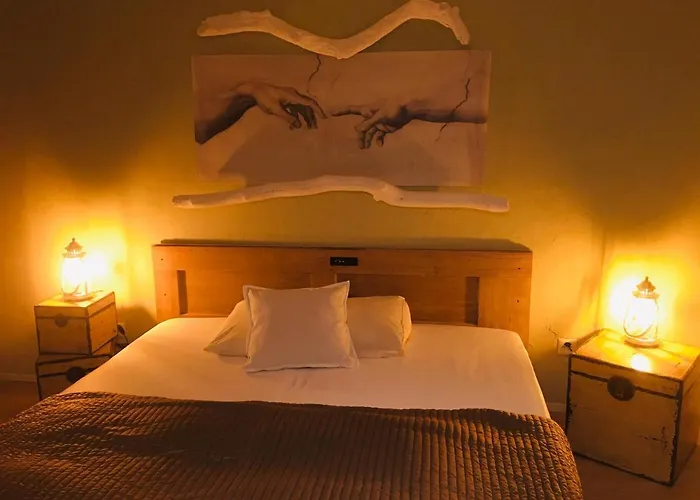 B&B Baeren
