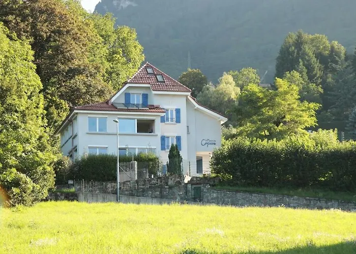 La Maison Des Copains